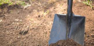 Groundbreaking of the Desalination Plant in Basseterre High angle view of shovel on dirt