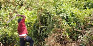 Roads and Drains Division Activities for Monday, June 30, 2025