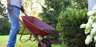 Save It; Don’t Waste It – Tip No. 4 Man doing yard work, spreading mulch around landscape bushes from a wheelbarrow
