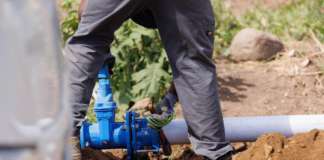 Today’s WSD Action Plan: February 17, 2026