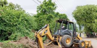 WSD Activity for July 29, 2025