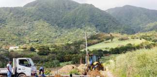 Today’s WSD Action Plan: January 19, 2026