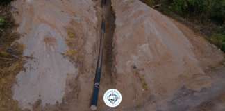 Today’s WSD Action Plan: January 22, 2026